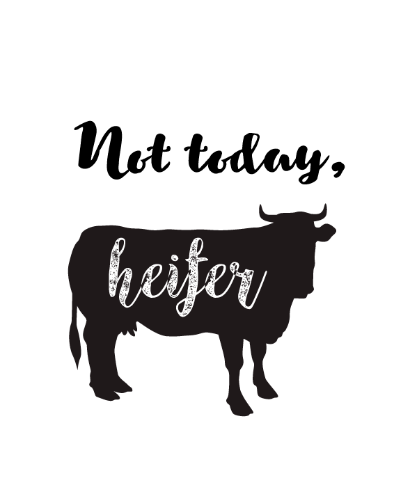 not-today-heifer