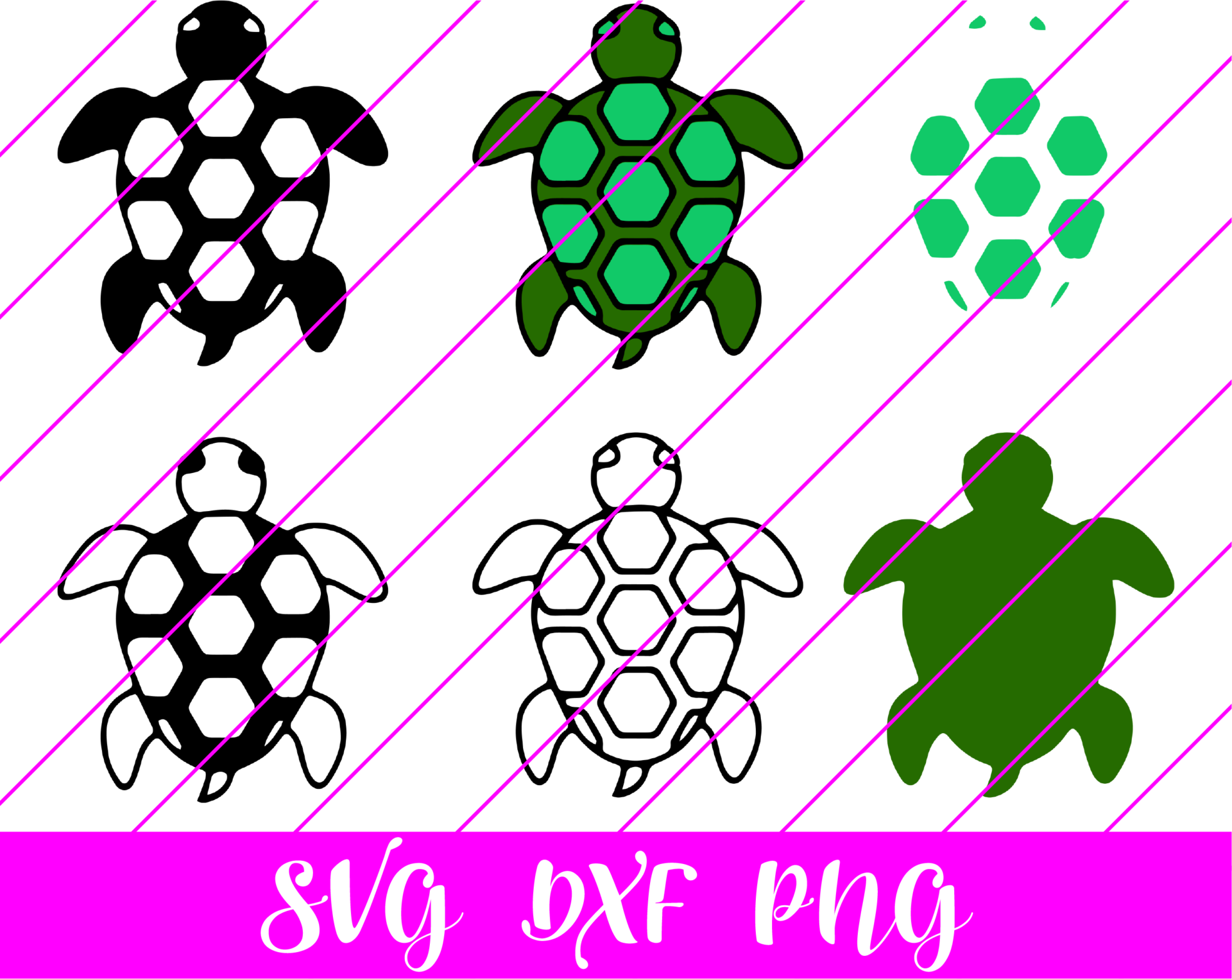 turtle SVG