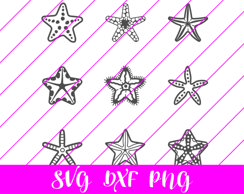 Starfish SVG
