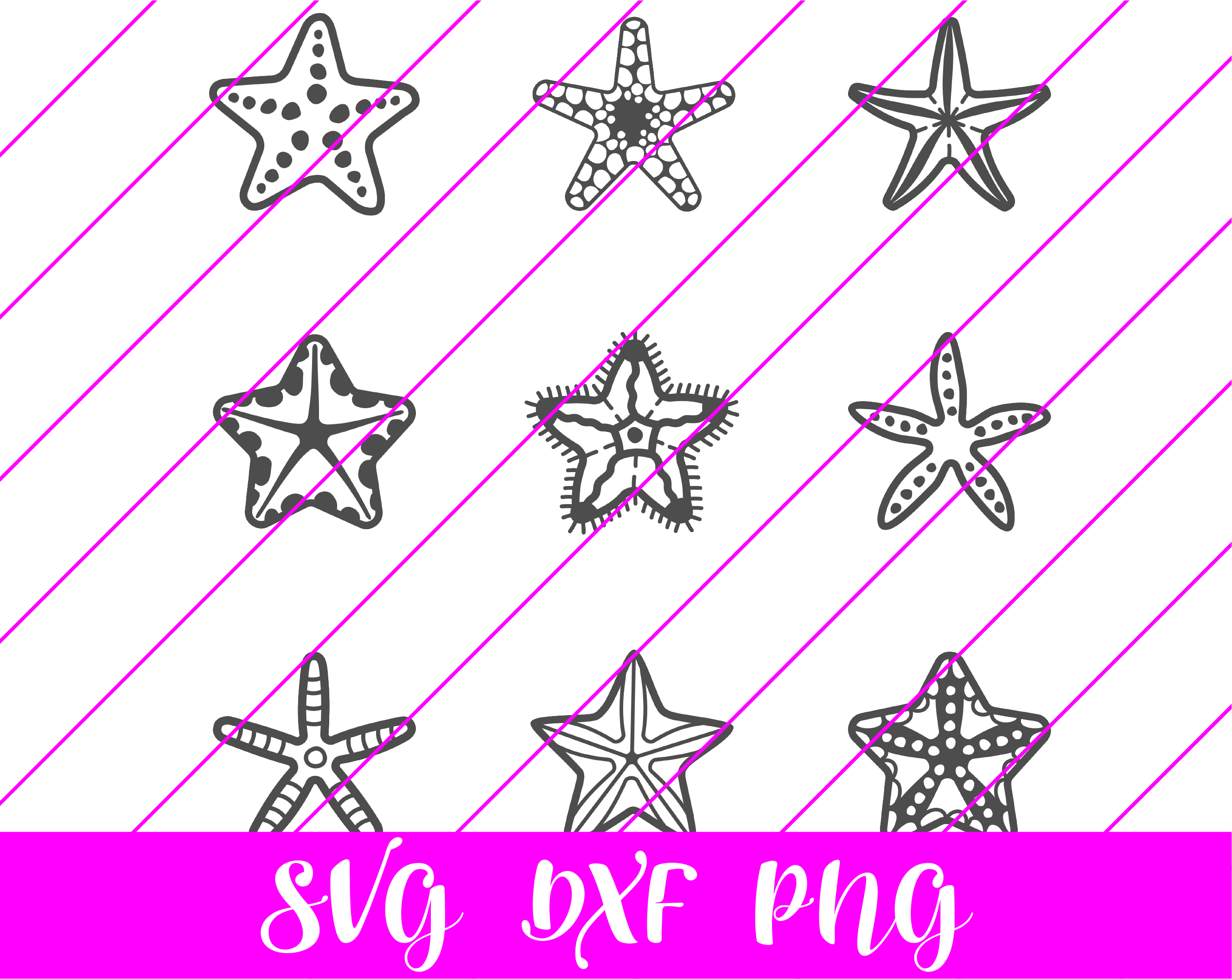 Starfish SVG - Free Starfish SVG Download - svg art