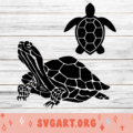 Tortoise SVG